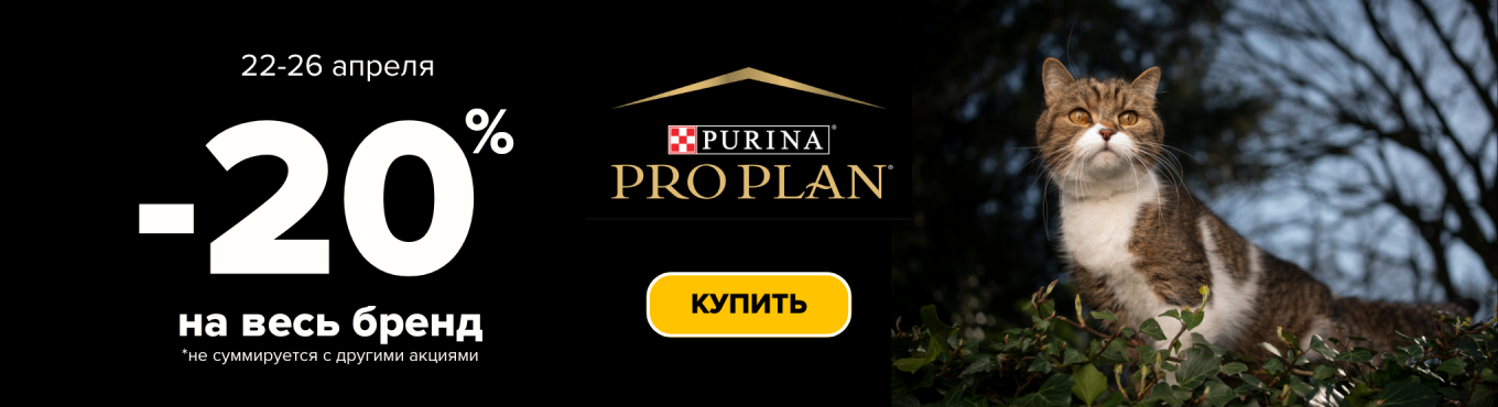 -20% на весь бренд Pro Plan